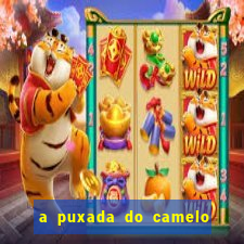 a puxada do camelo no jogo do bicho